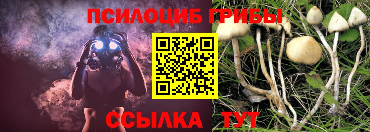 Псилоцибиновые грибы Cubensis Богородицк